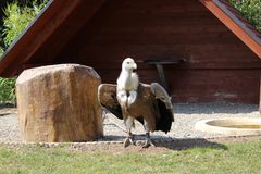 Zoo in Neunkirchen