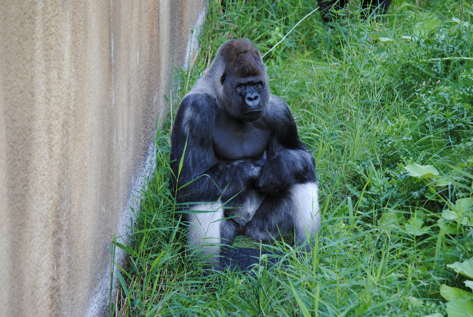 Zoo in Rotterdam