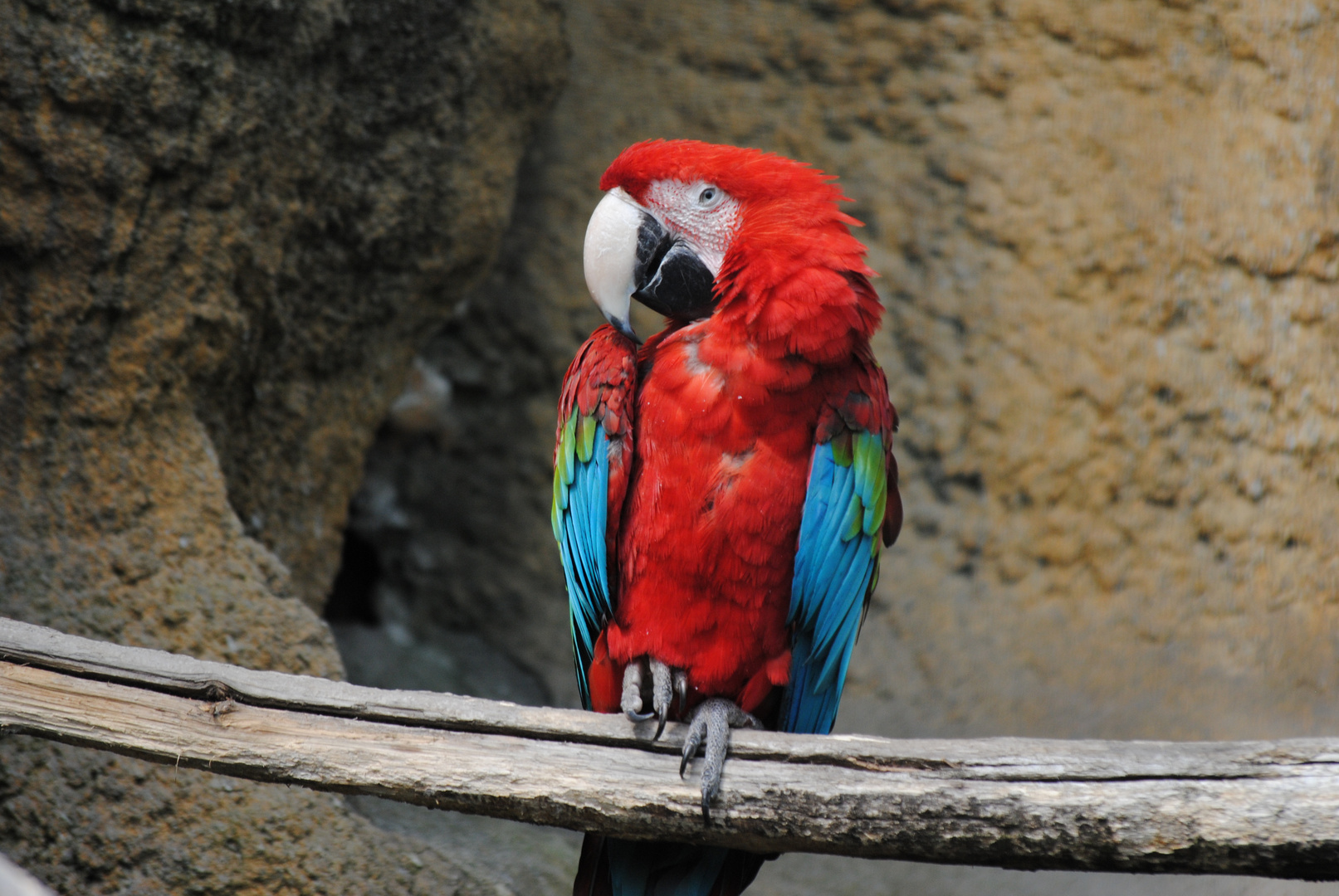 Zoo in Rotterdam