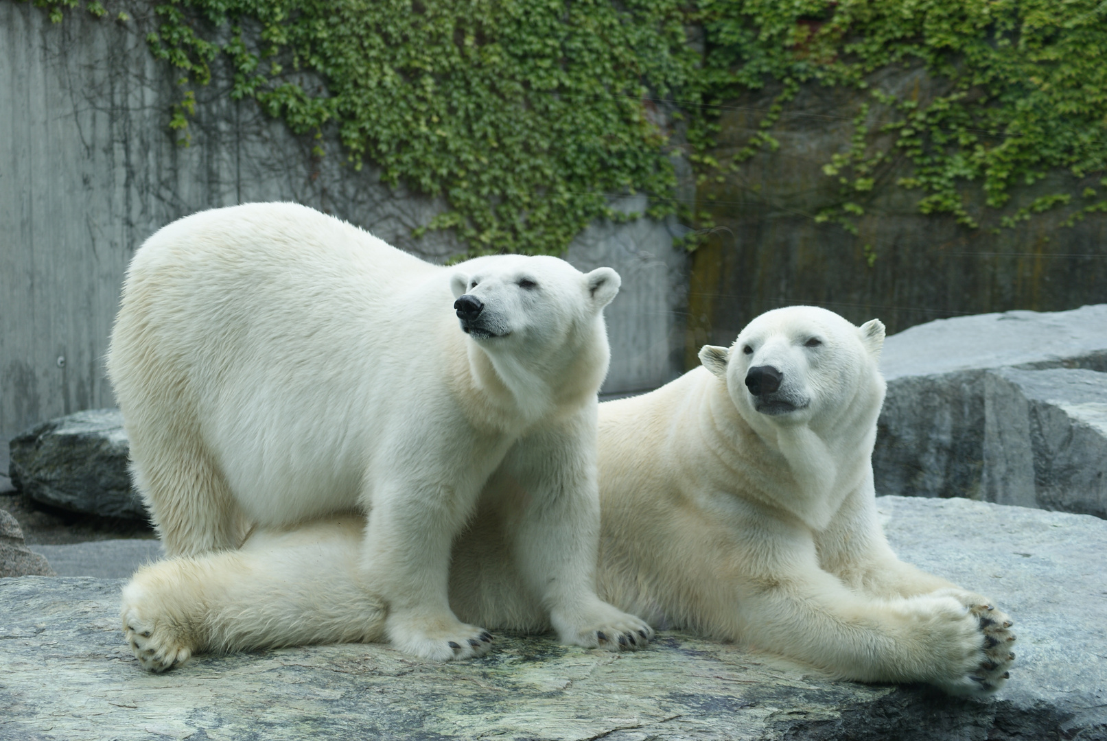 Zoo in Stuttgart