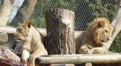 Zoo in Wien-Schönbrunn