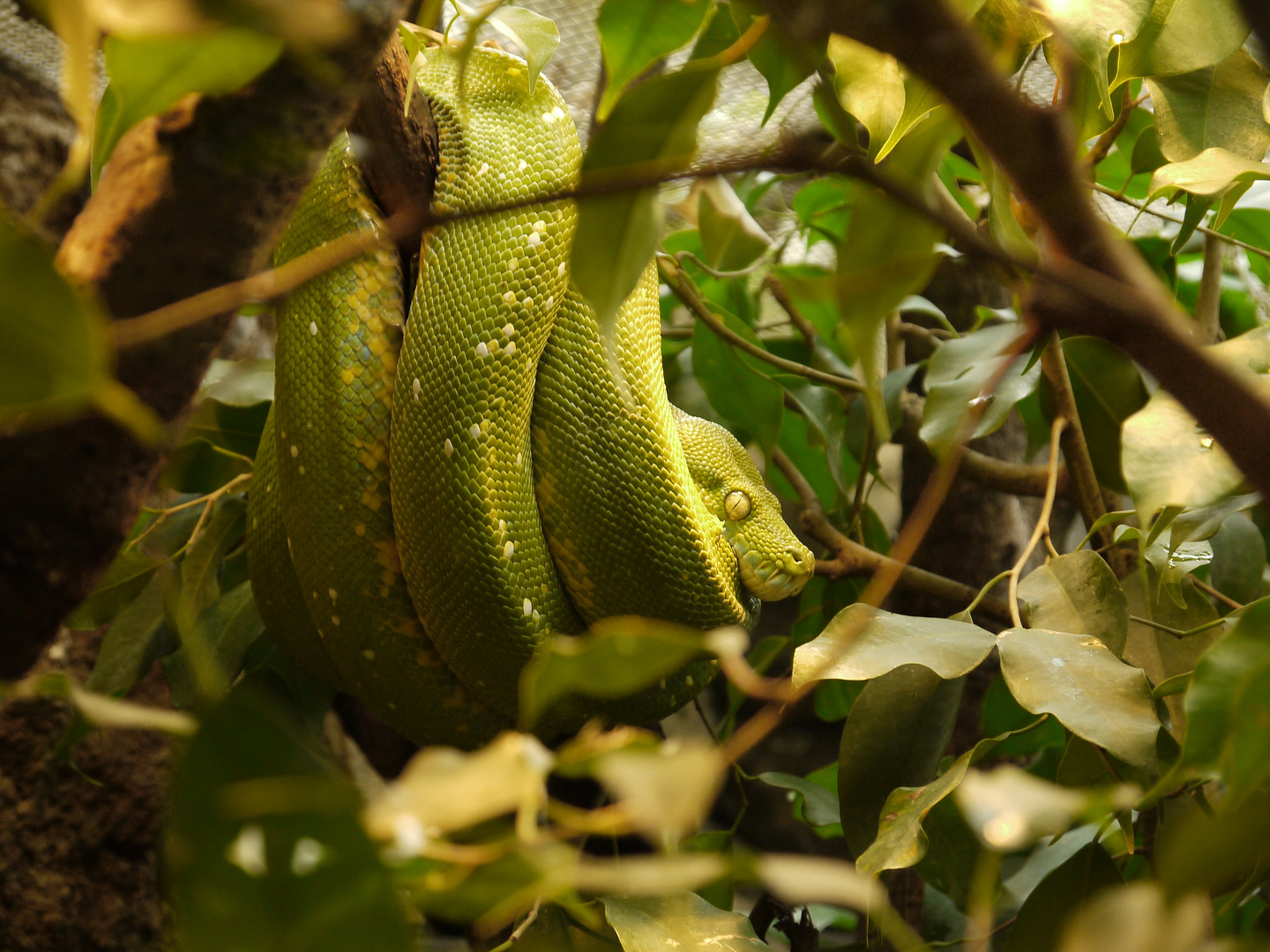 Zoo in Wuppertal