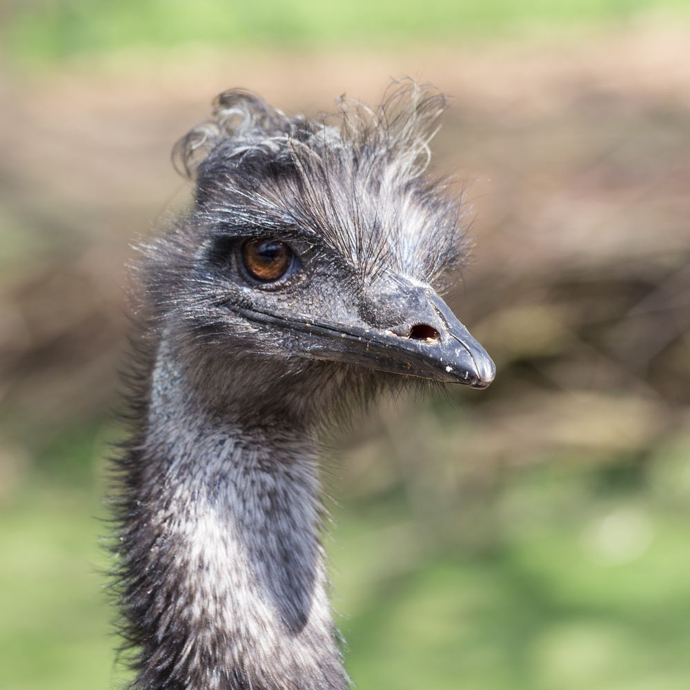 Zoo Karlsruhe 009