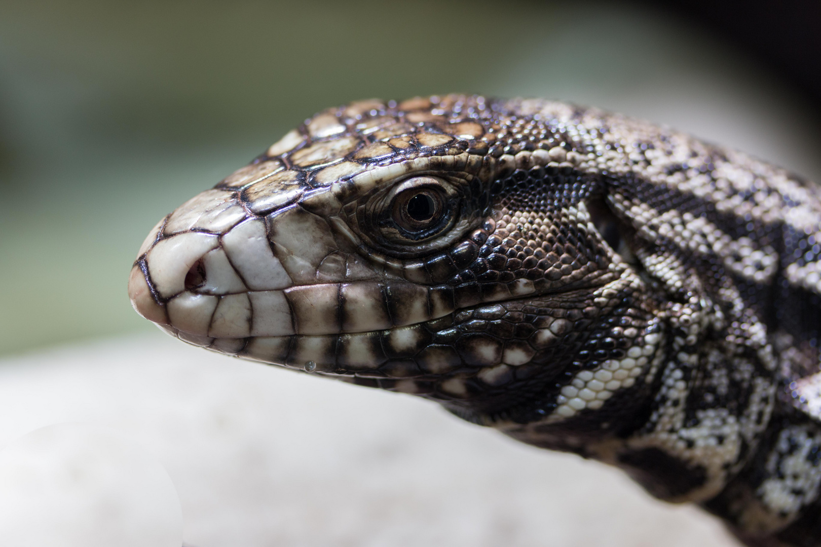 Zoo Karlsruhe 01