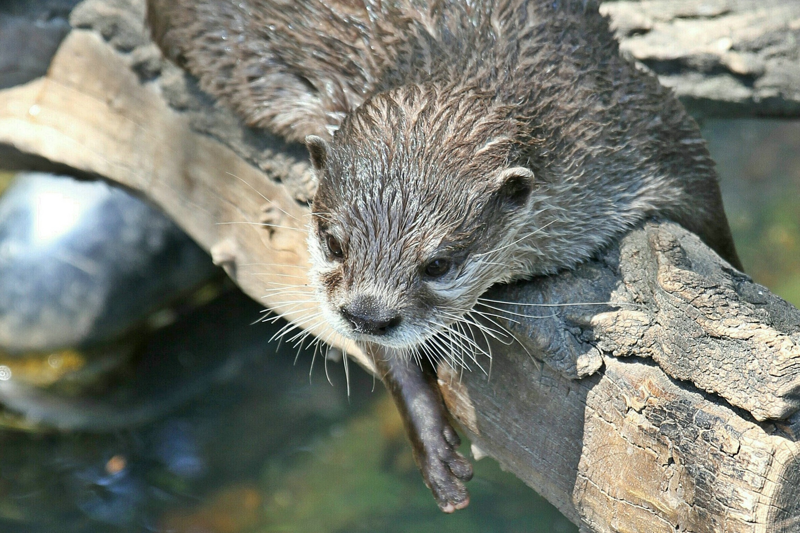 Zoo Karlsruhe