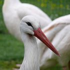 Zoo Karlsruhe