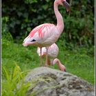 Zoo Karlsruhe