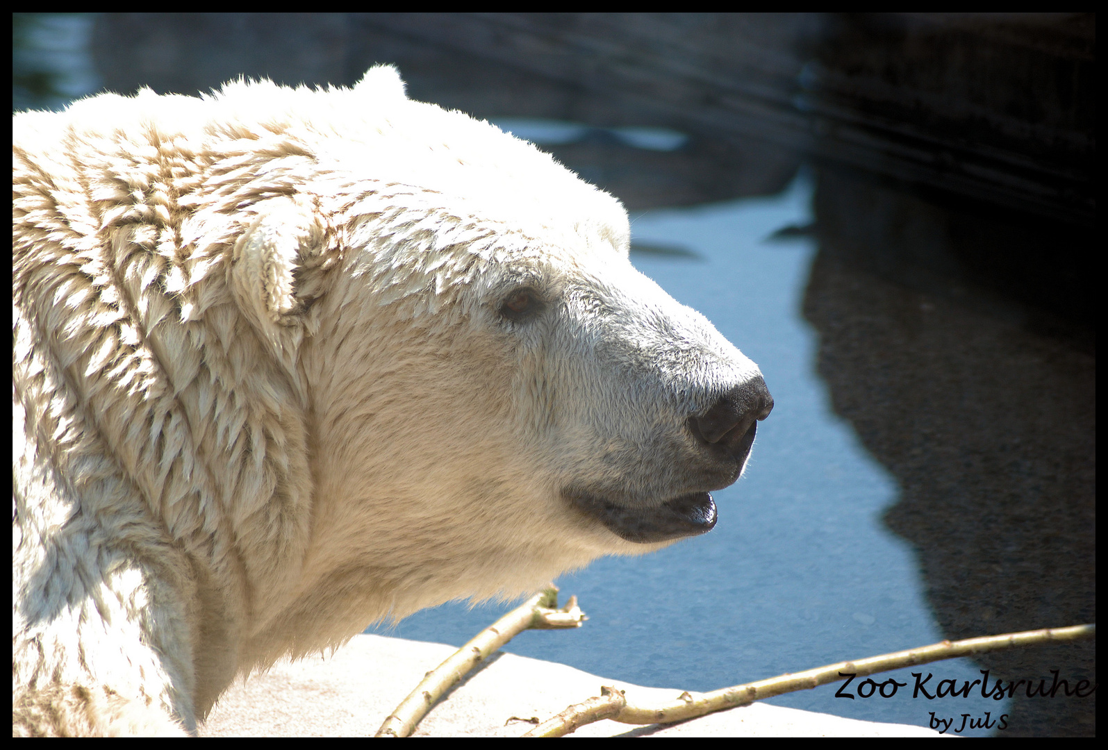 Zoo Karlsruhe