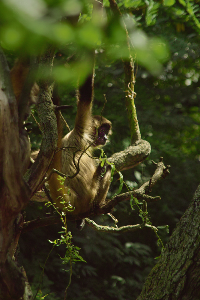 Zoo Karlsruhe 6