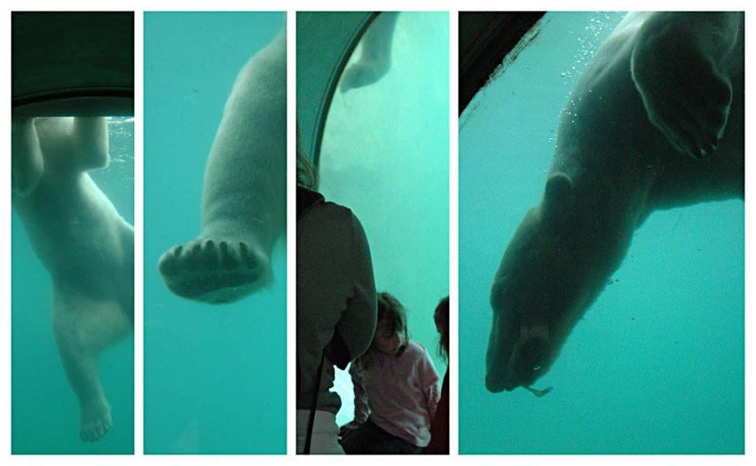 Zoo Karlsruhe