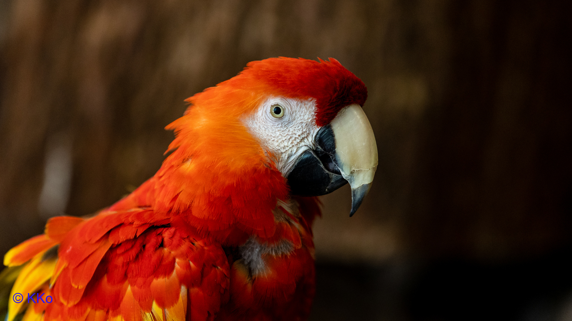 Zoo Karlsruhe