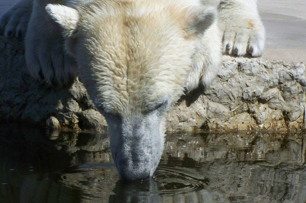 Zoo Karlsruhe