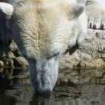 Zoo Karlsruhe