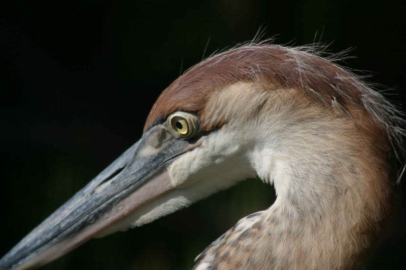 Zoo Köln, 2004