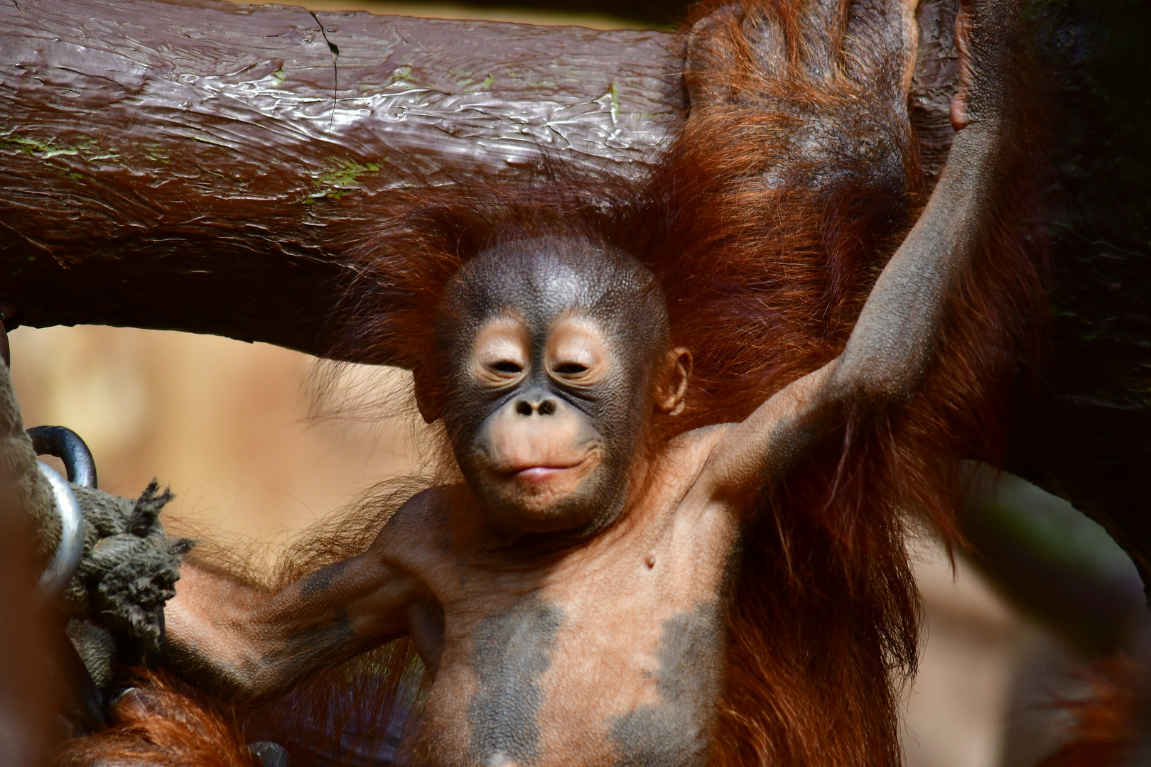 Zoo Krefeld