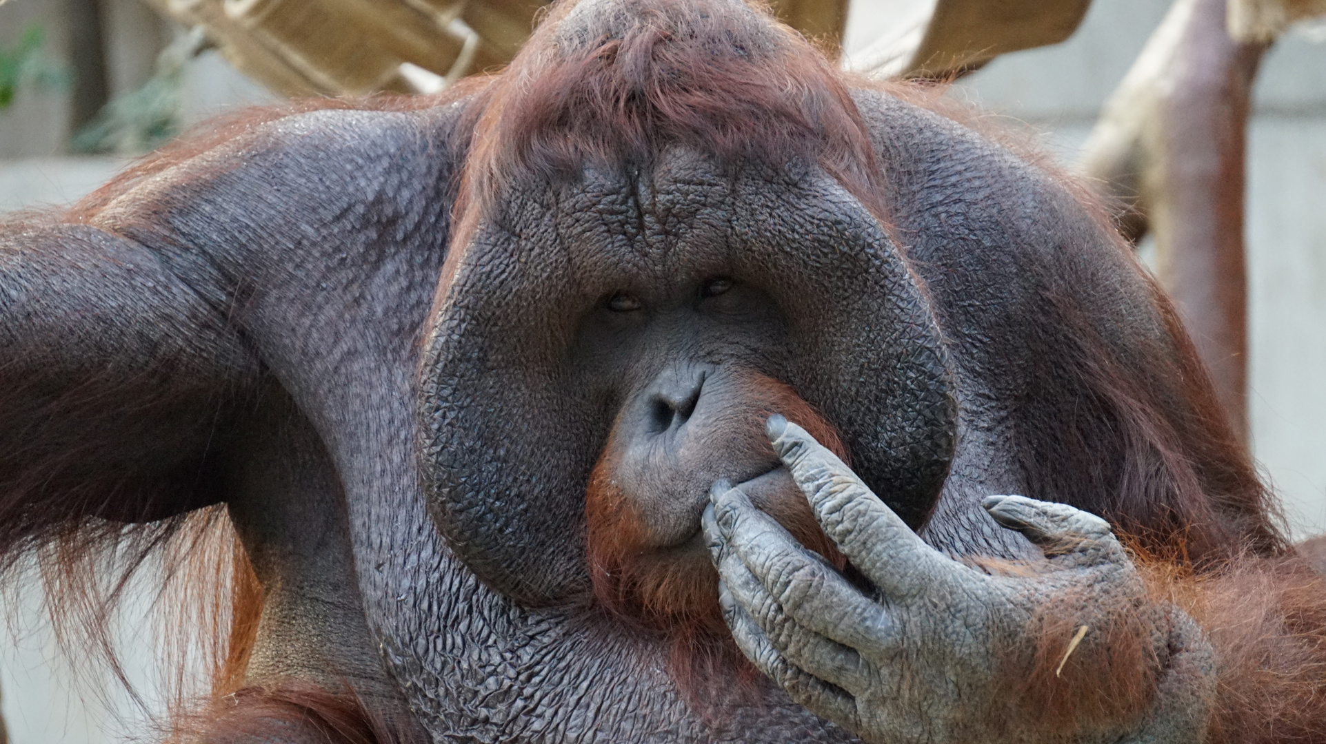 Zoo Krefeld