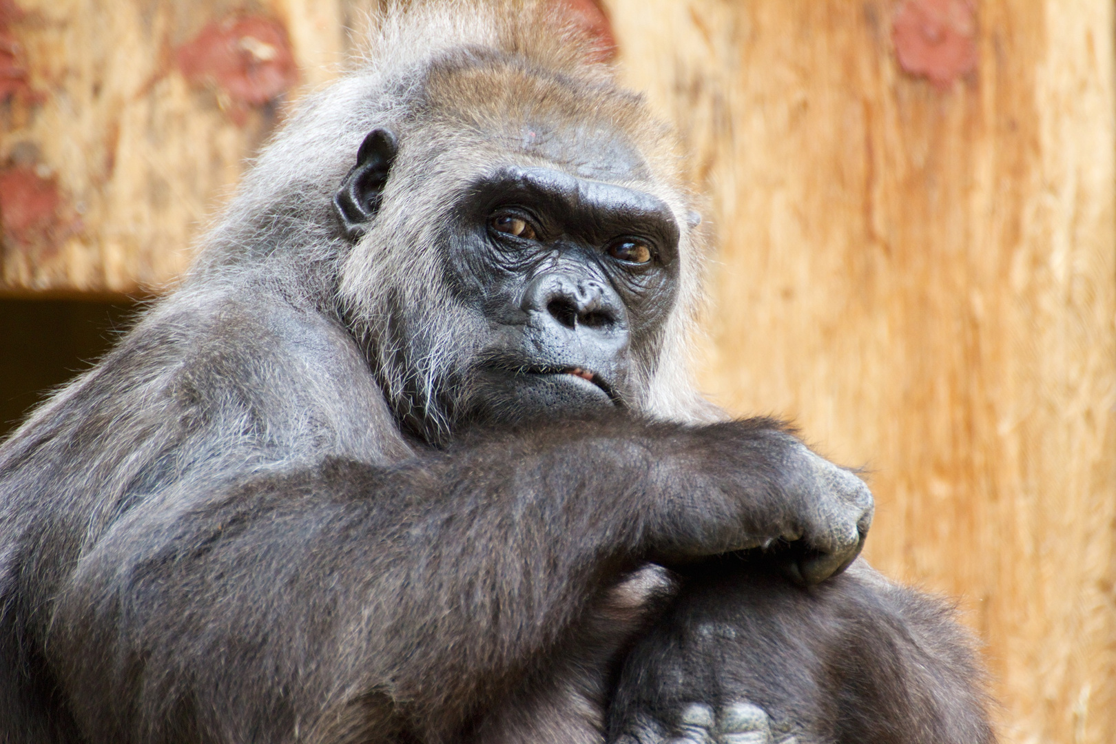 Zoo Krefeld