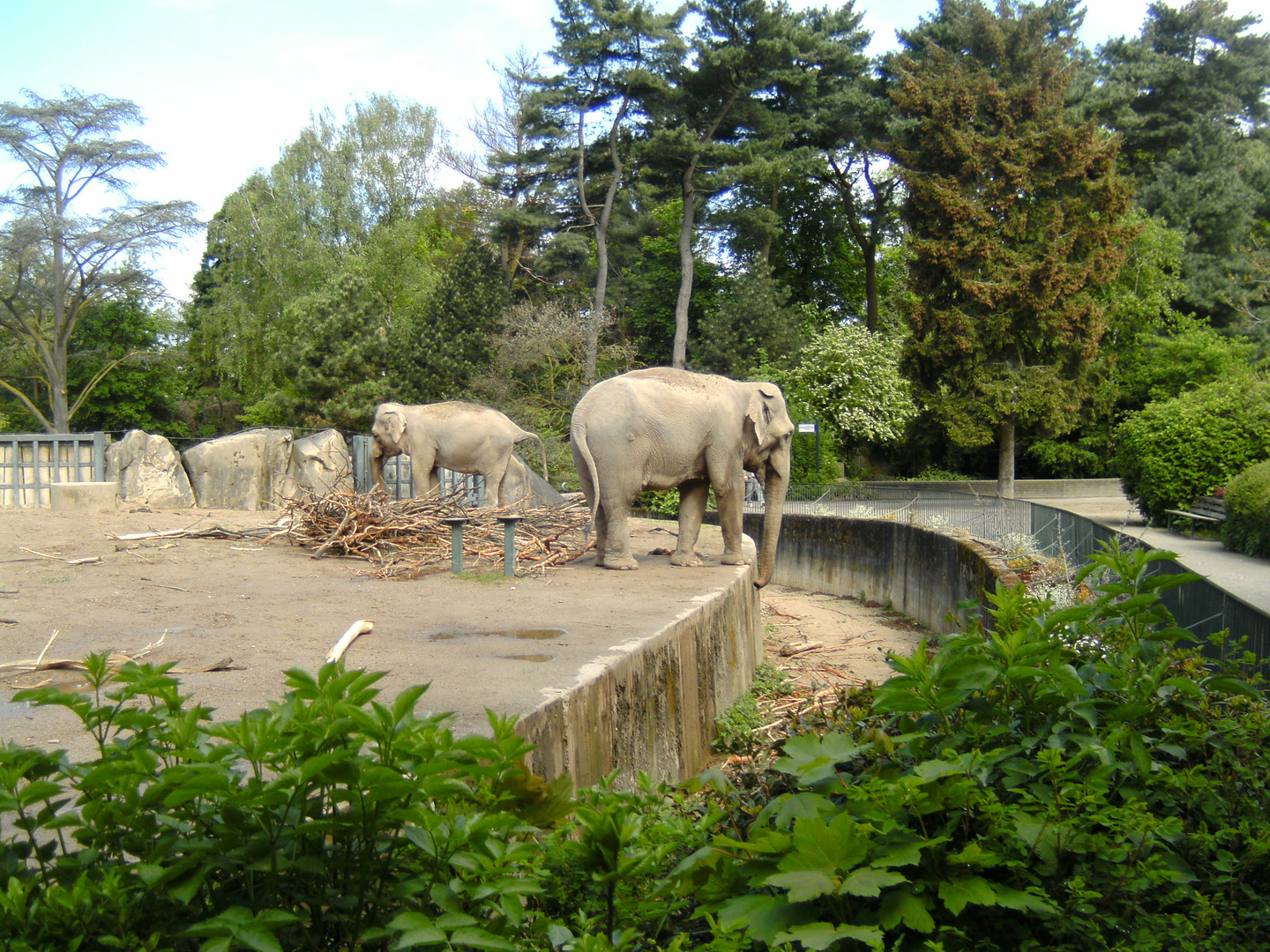 Zoo Krefeld