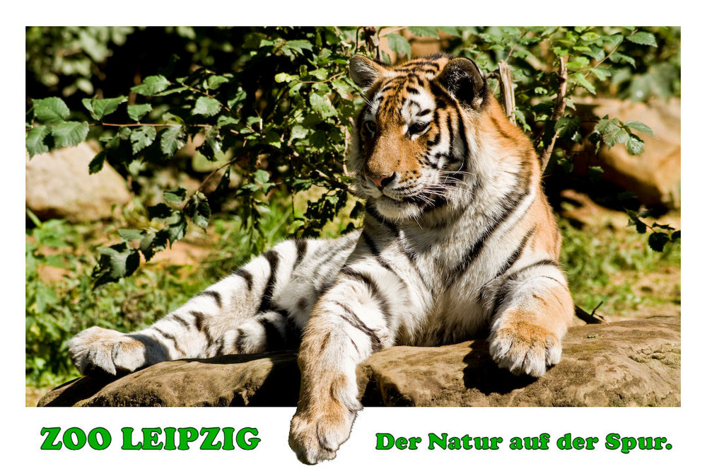 Zoo Leipzig