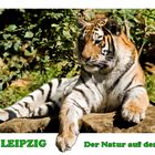 Zoo Leipzig