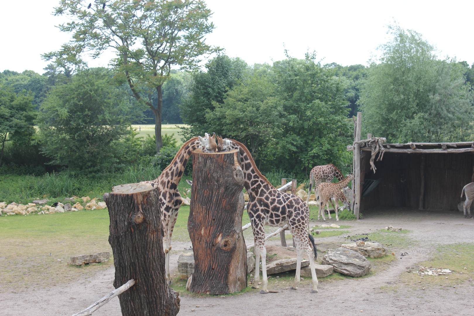 Zoo-Leipzig