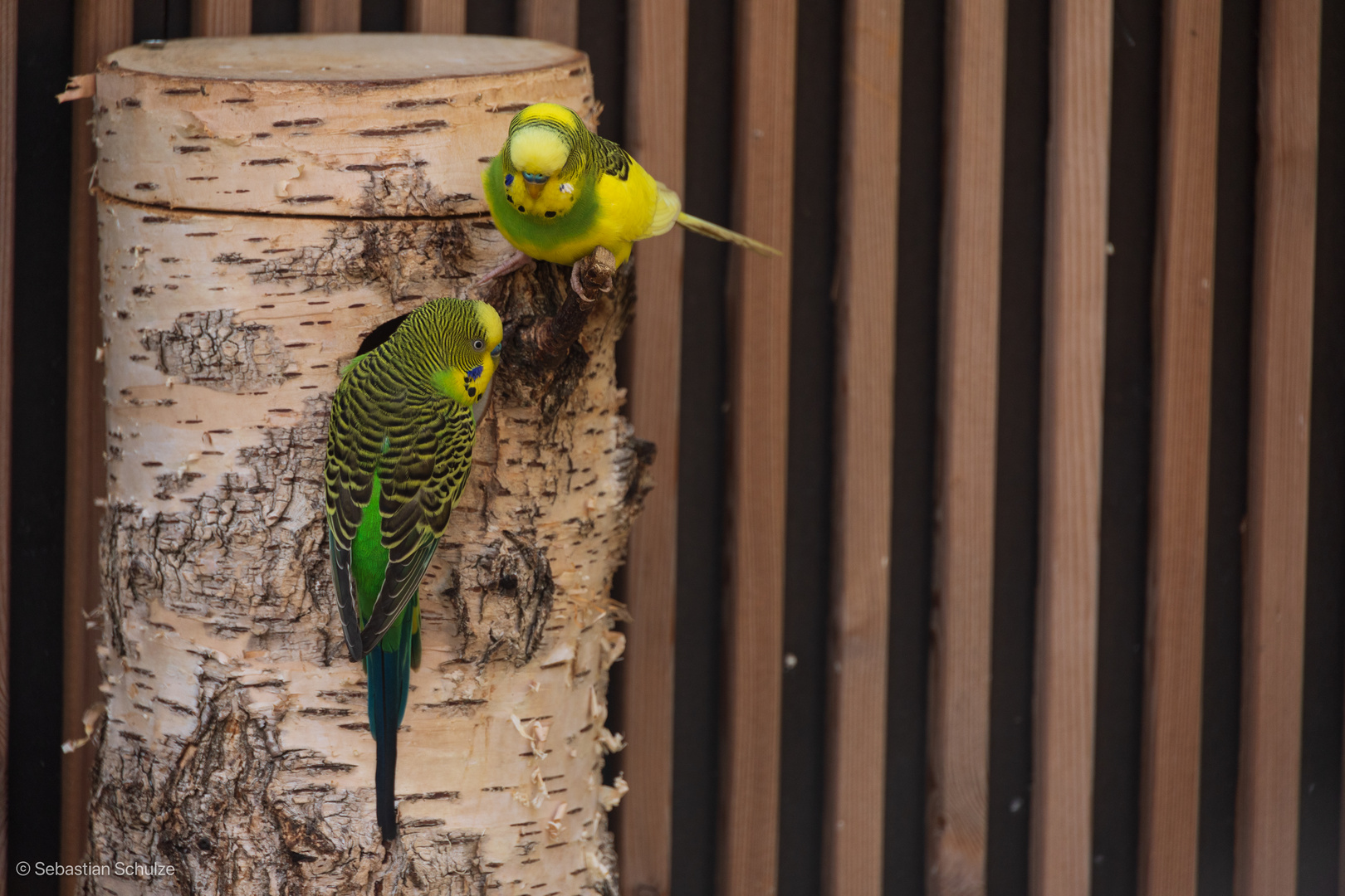 Zoo Leipzig 02