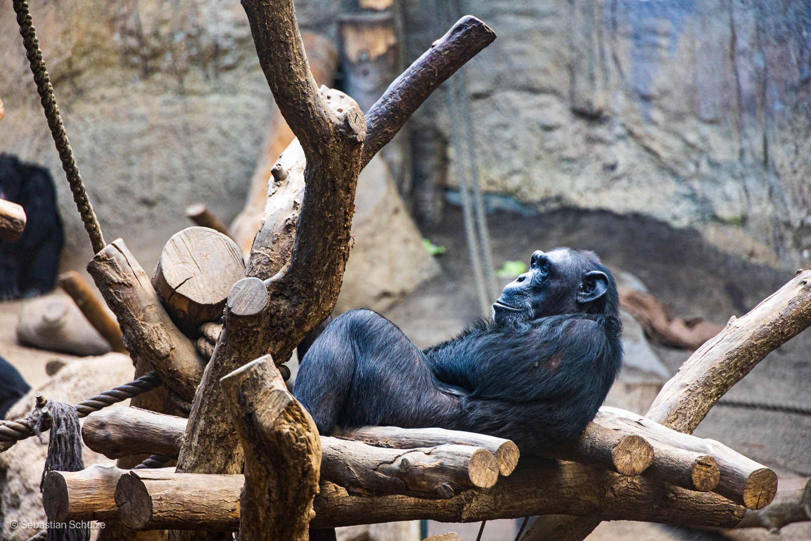 Zoo Leipzig 03