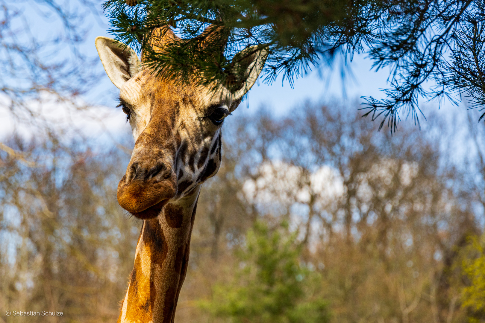 Zoo Leipzig 04