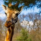 Zoo Leipzig 04