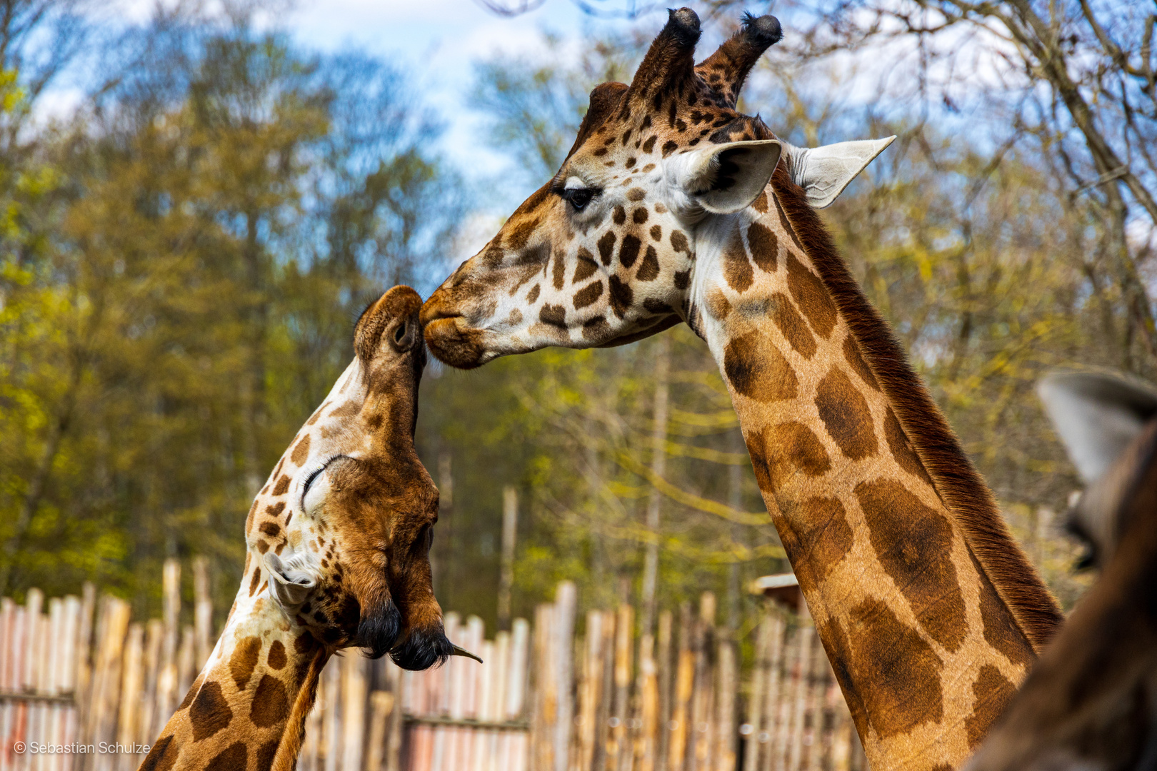 Zoo Leipzig 05