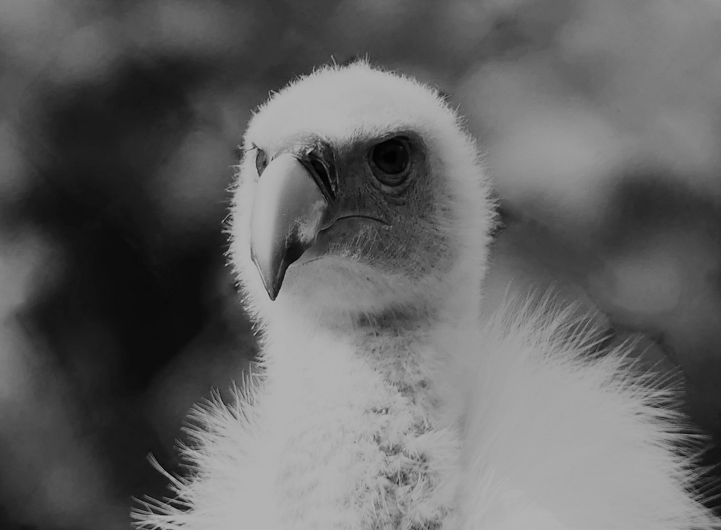 Zoo Leipzig - 06-09-2018