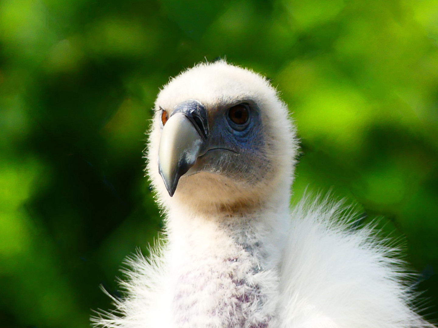 Zoo Leipzig - 06-09-2018