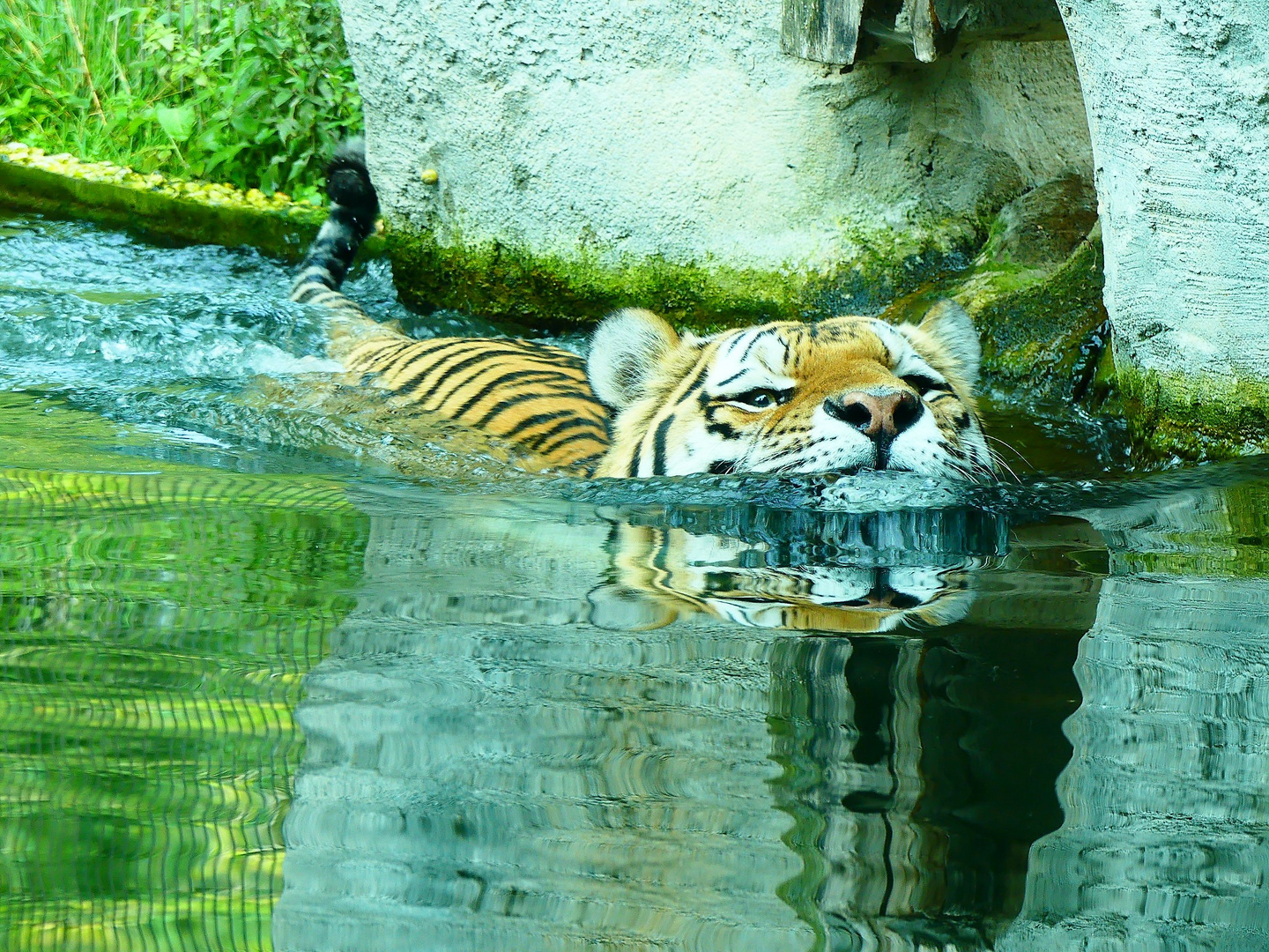 Zoo Leipzig - 06-09-2018