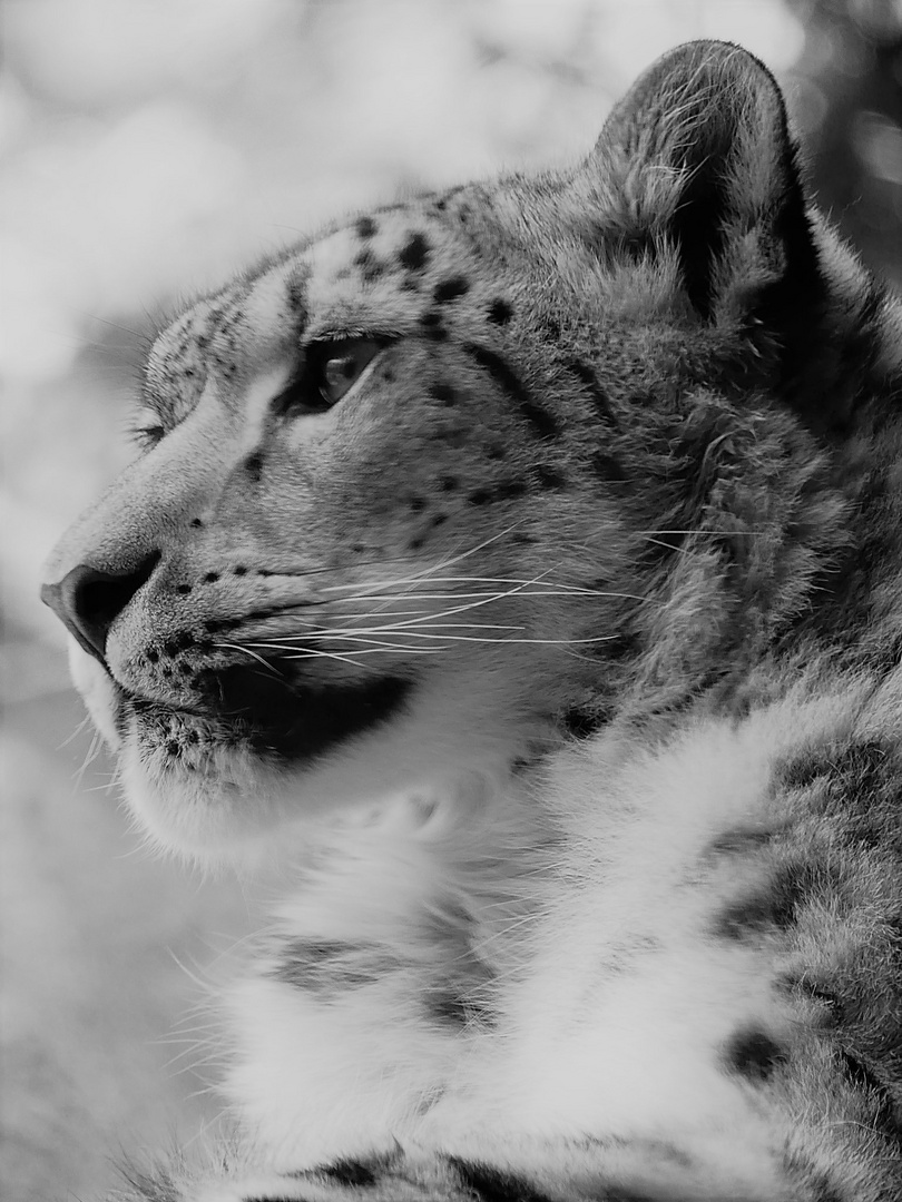 Zoo Leipzig - 06-09-2018