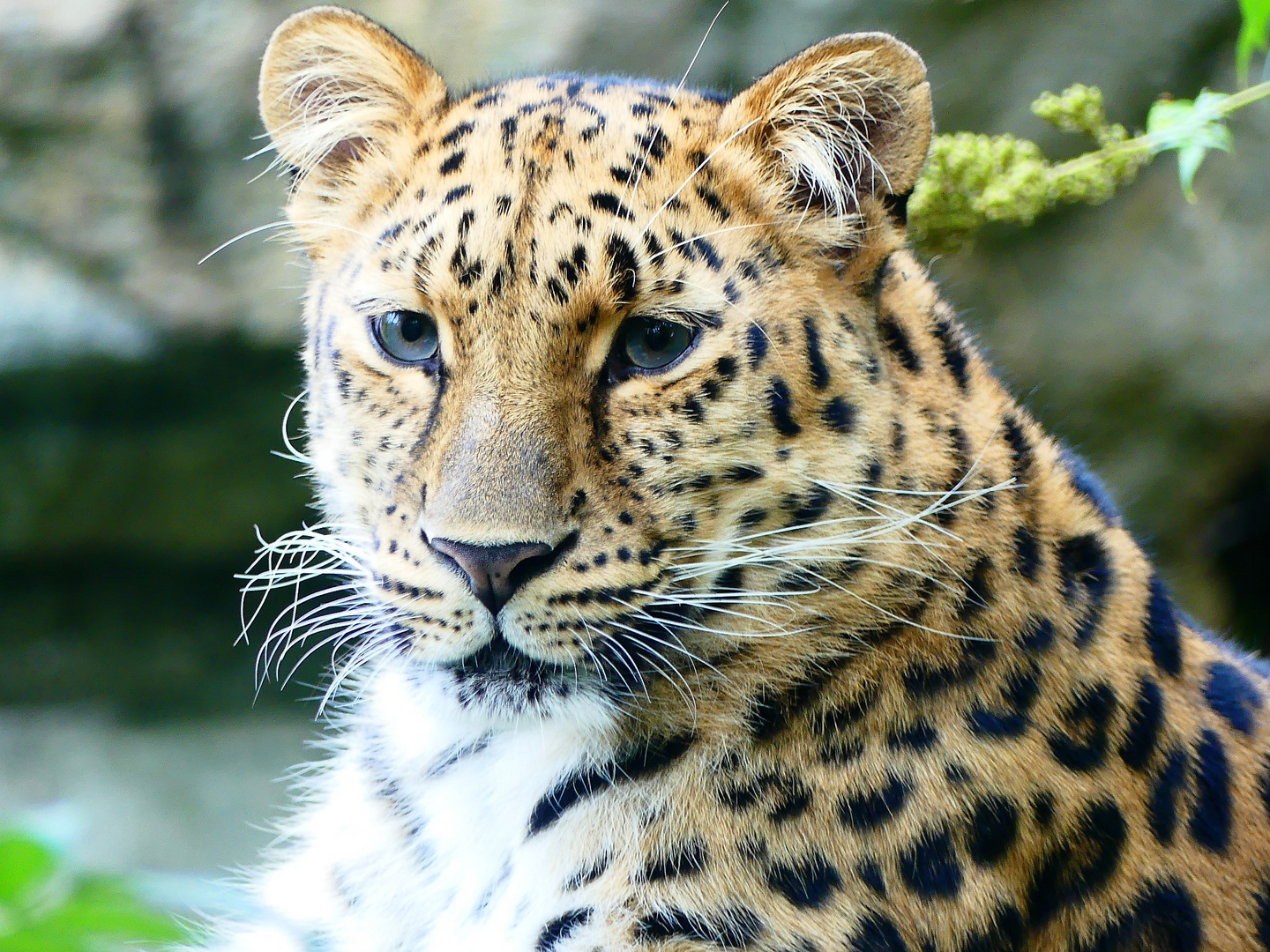 Zoo Leipzig - 06-092018