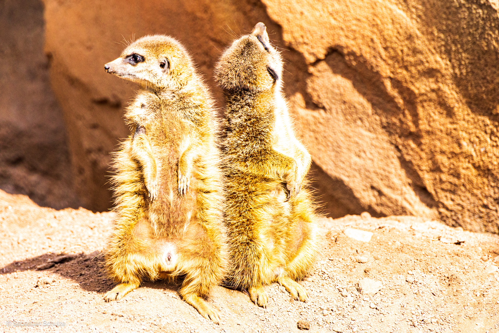 Zoo Leipzig 06