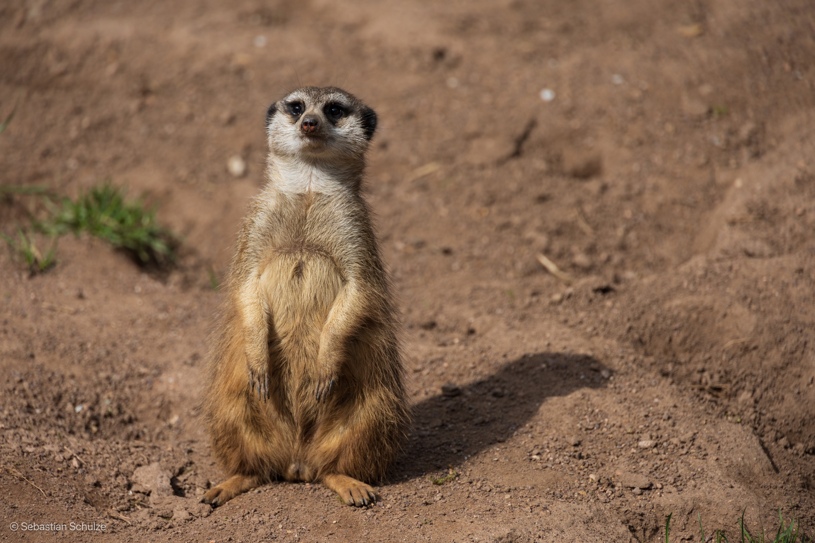 Zoo Leipzig 07