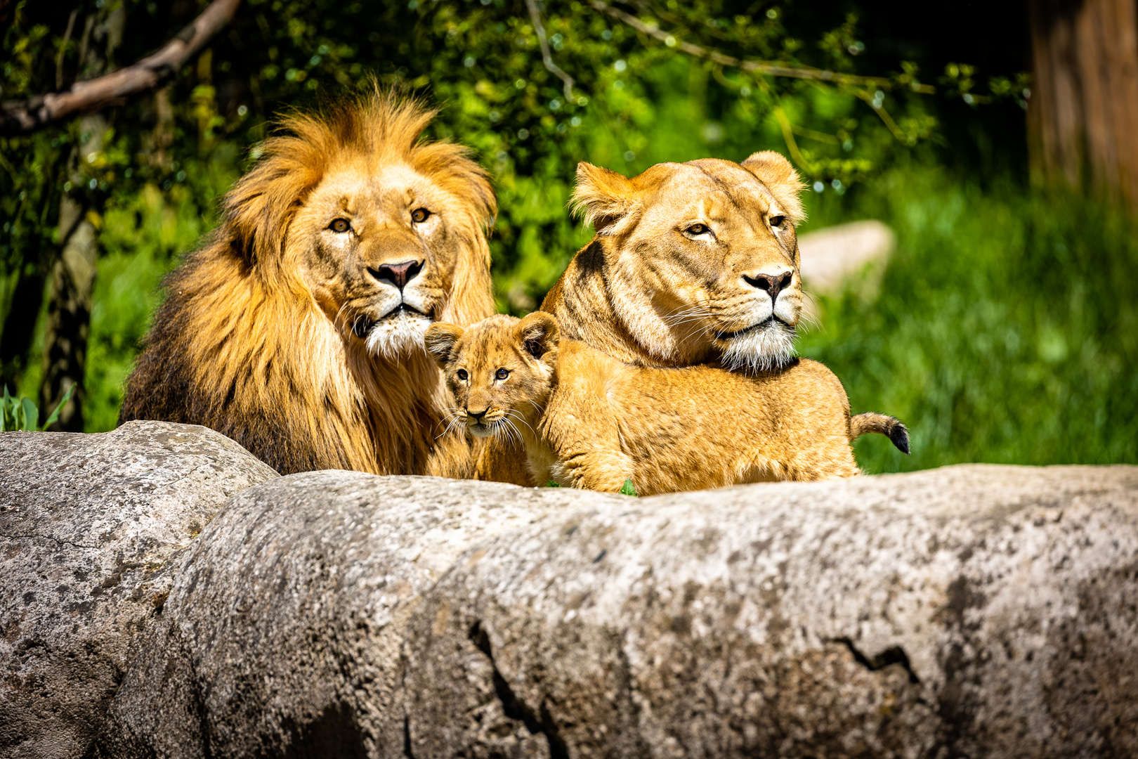 Zoo Leipzig