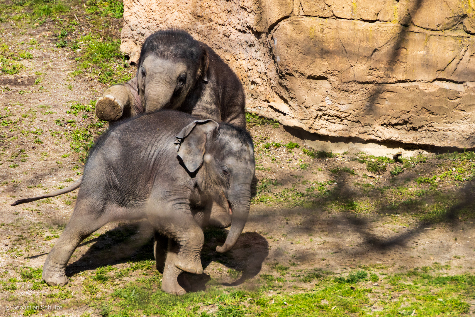 Zoo Leipzig 10