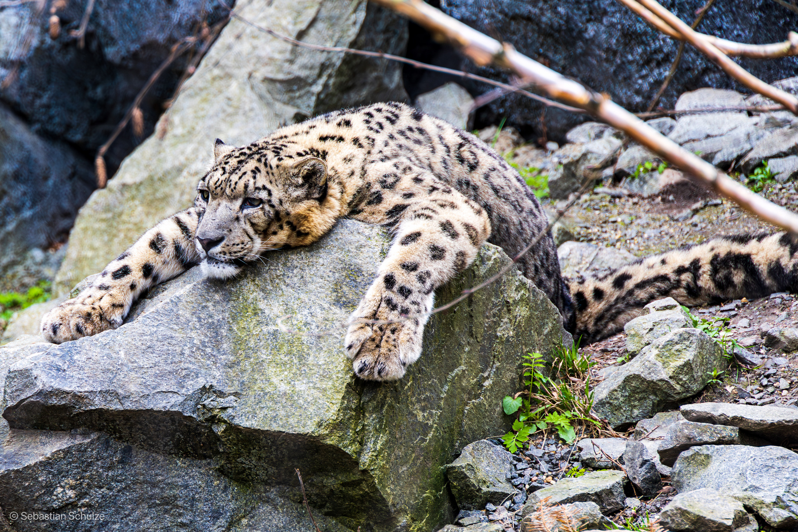 Zoo Leipzig 11