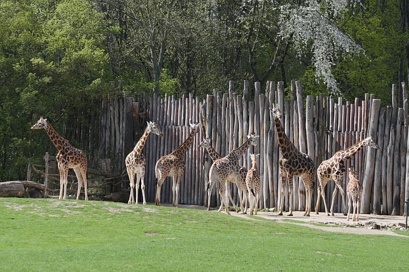 Zoo Leipzig