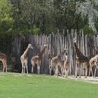 Zoo Leipzig