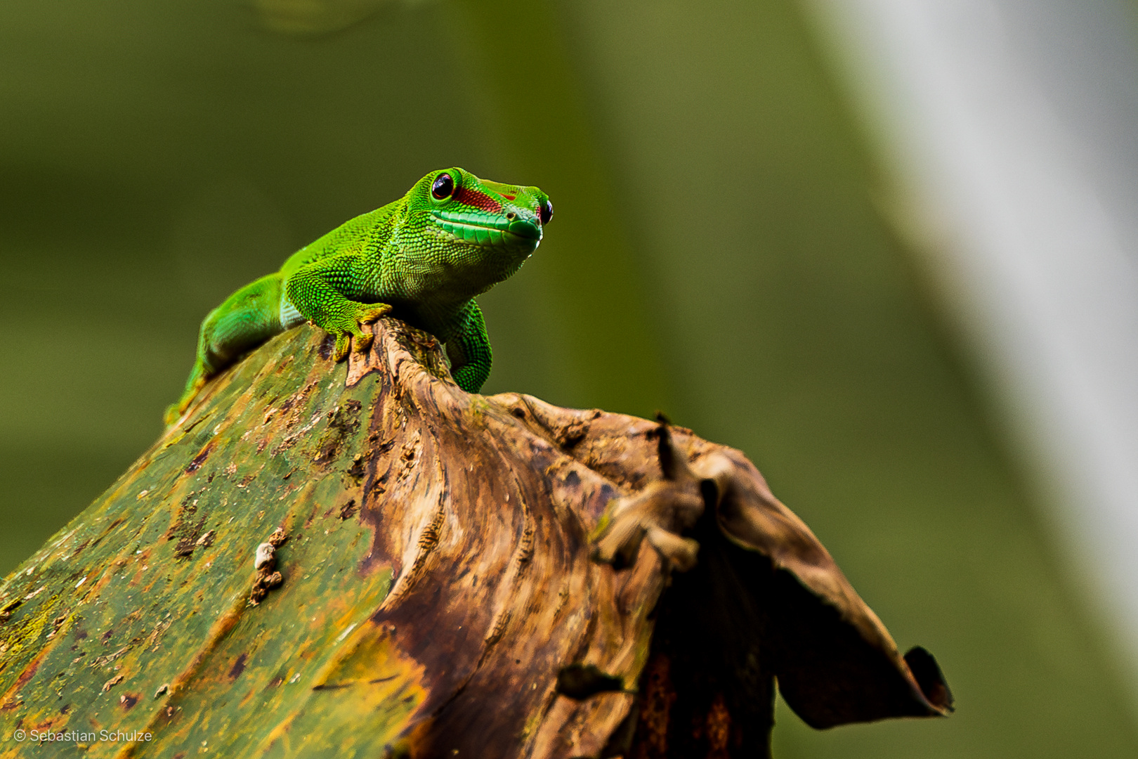 Zoo Leipzig 12