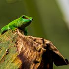 Zoo Leipzig 12