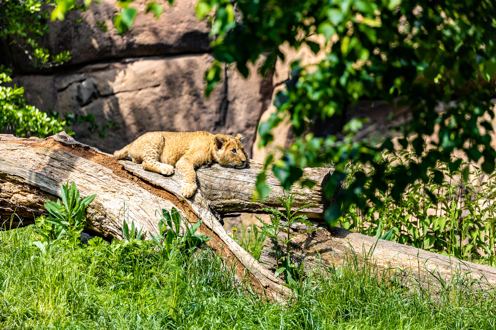 Zoo Leipzig