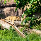 Zoo Leipzig