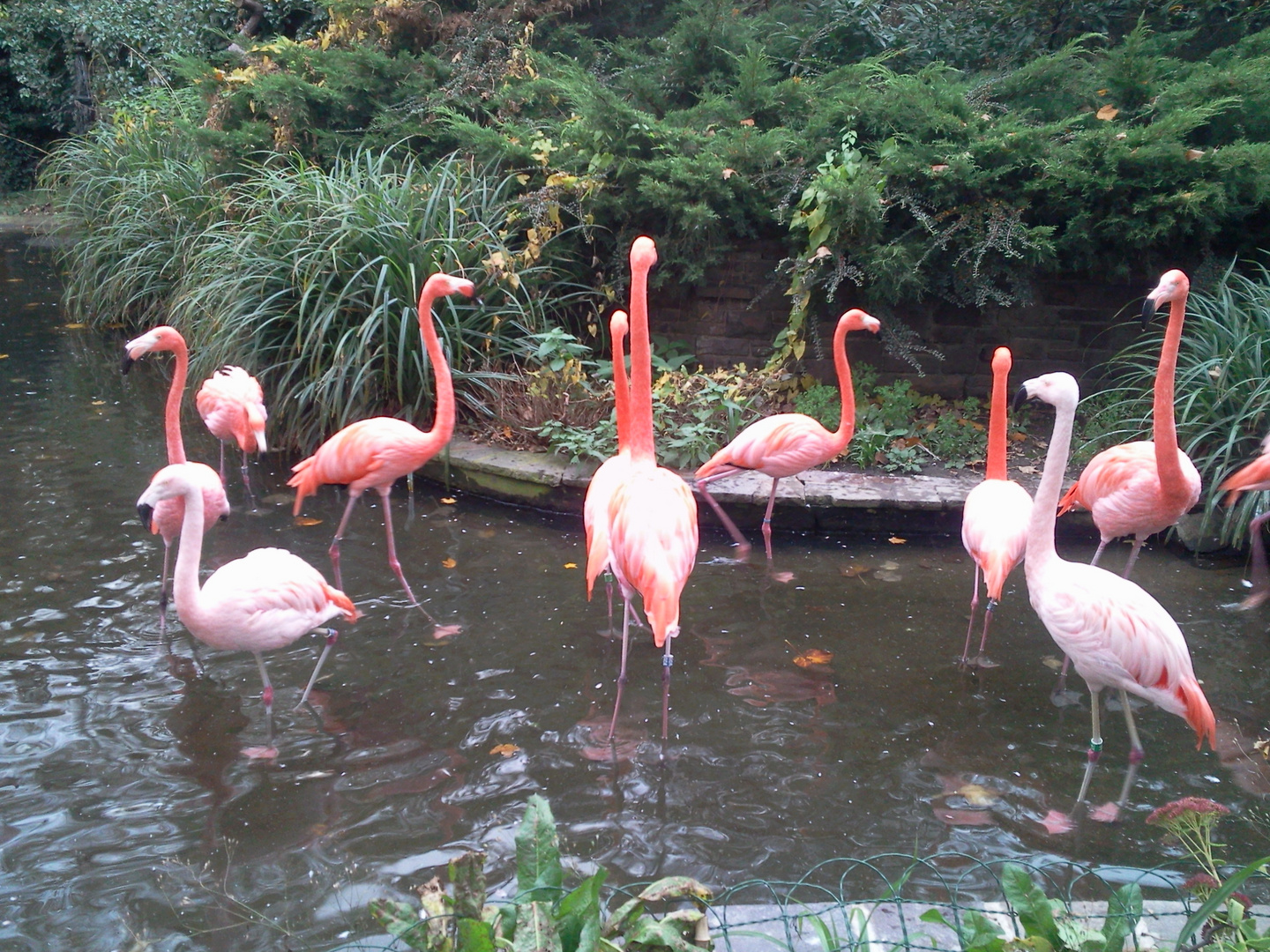 zoo leipzig