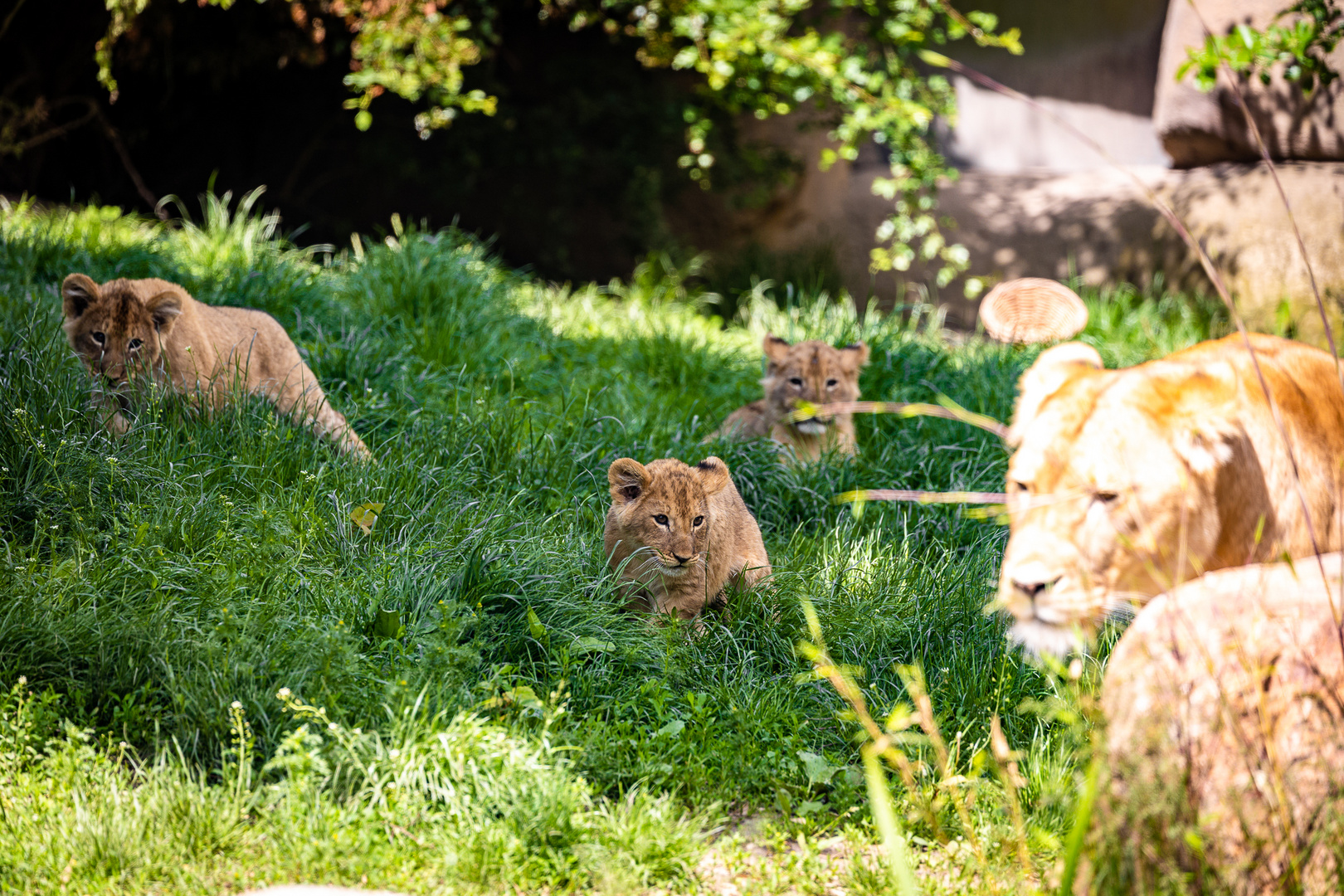 Zoo Leipzig