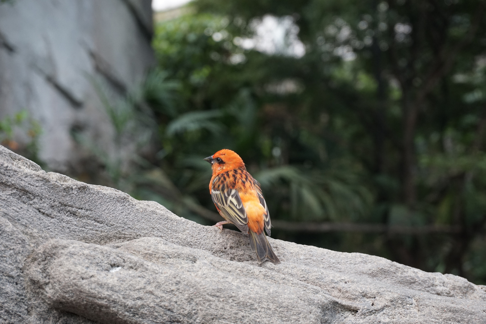 Zoo Leipzig