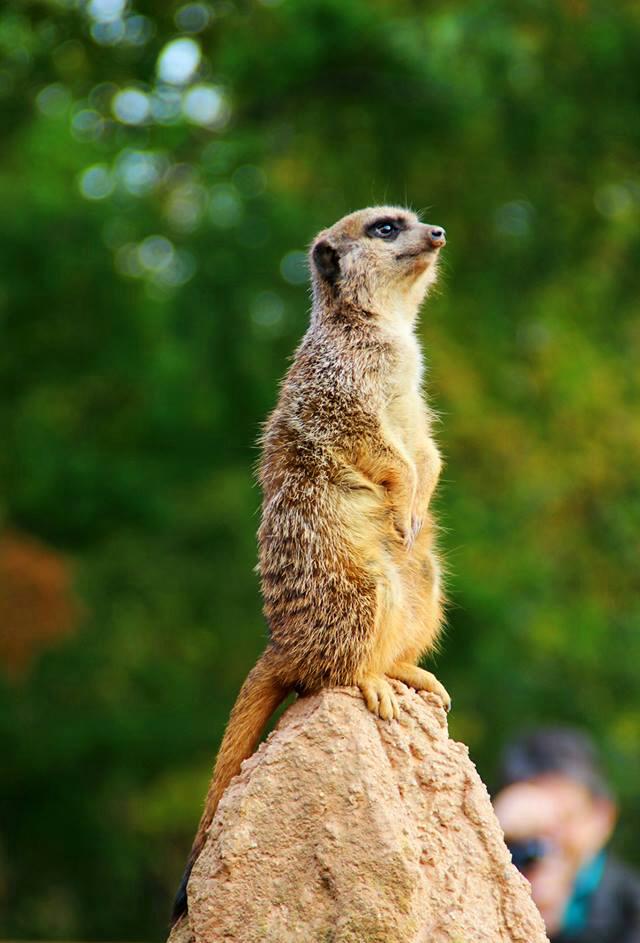 Zoo Leipzig :)